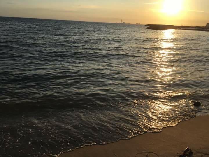 سابايدي بيتش رايونغ المظهر الخارجي الصورة